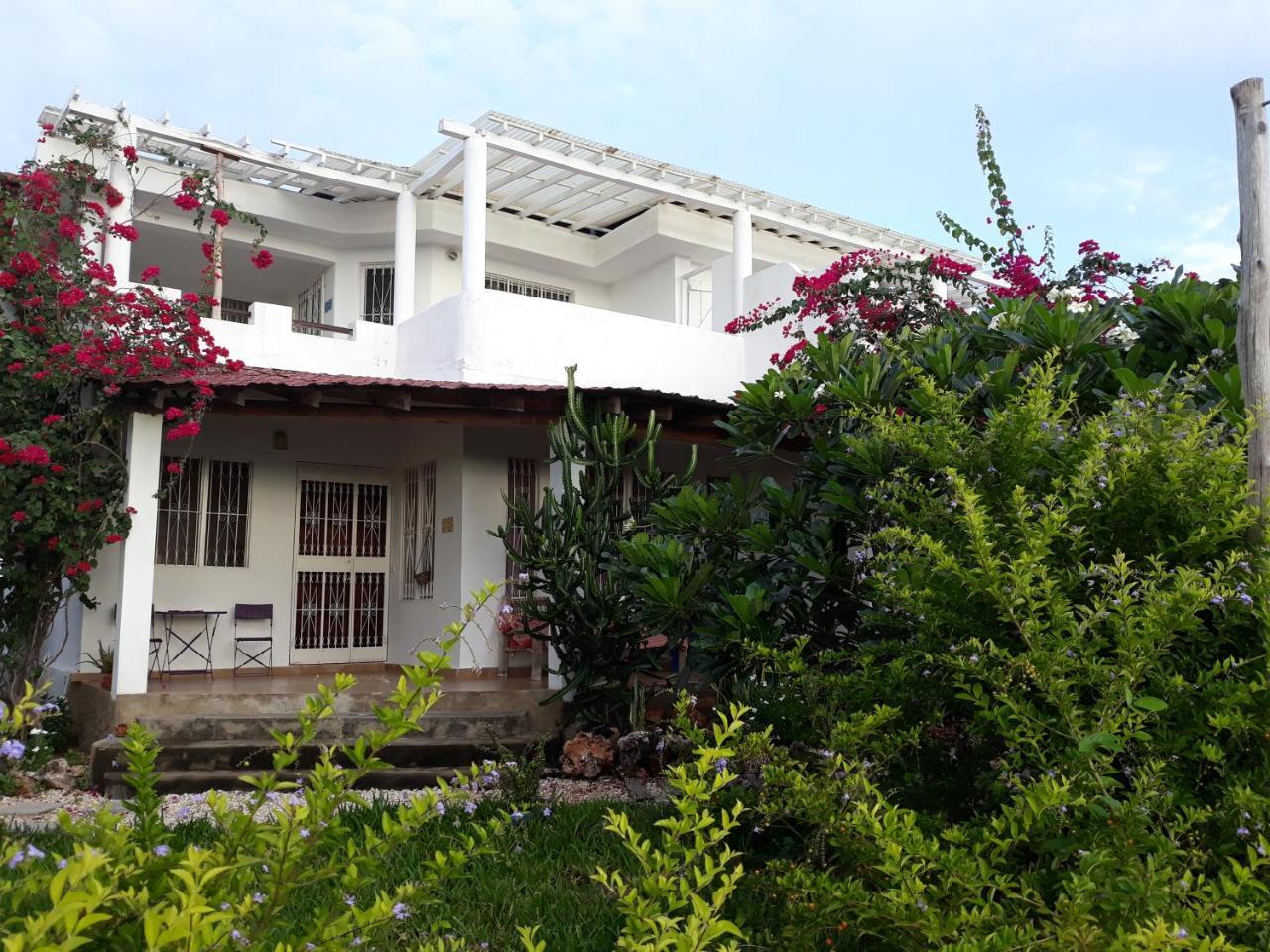 Nakupenda Apartments Kiwengwa (Zanzibar) Exterior photo